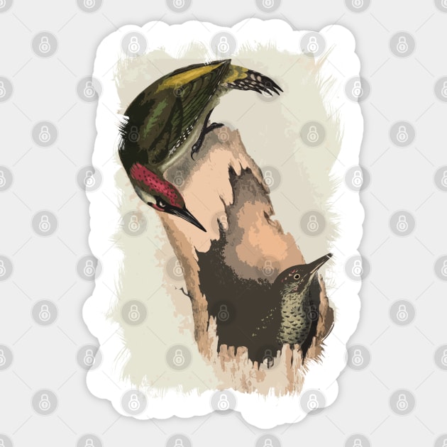 European green woodpecker Sticker by Naumovski